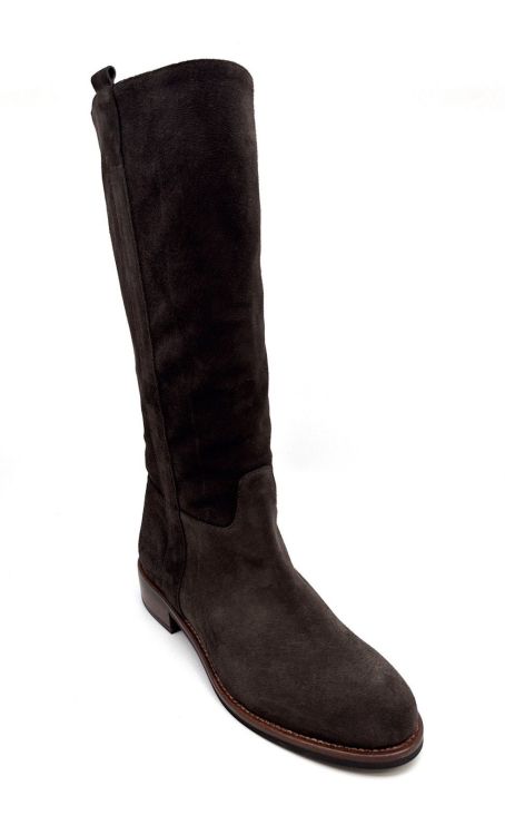  (9031 velour testa di moro) - K De Lathauwer Schoenen (Aalst)