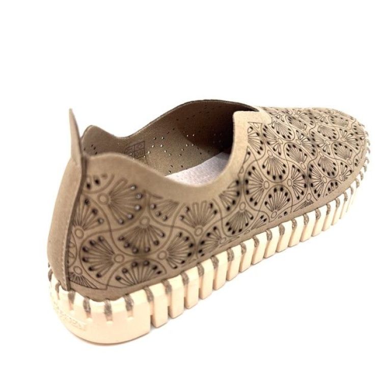  (tulip 3485 corinader) - K De Lathauwer Schoenen (Aalst)