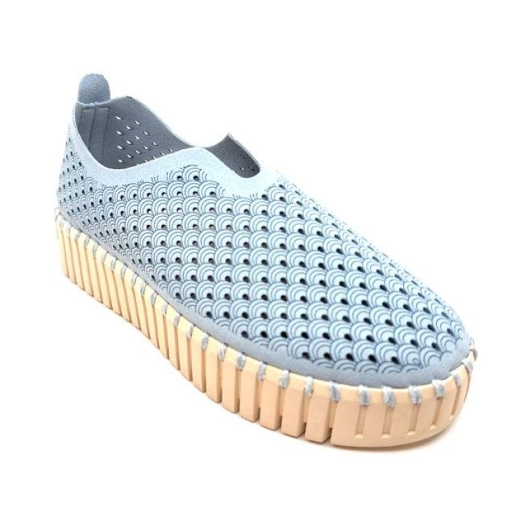  (tulip 3373W ash blue) - K De Lathauwer Schoenen (Aalst)