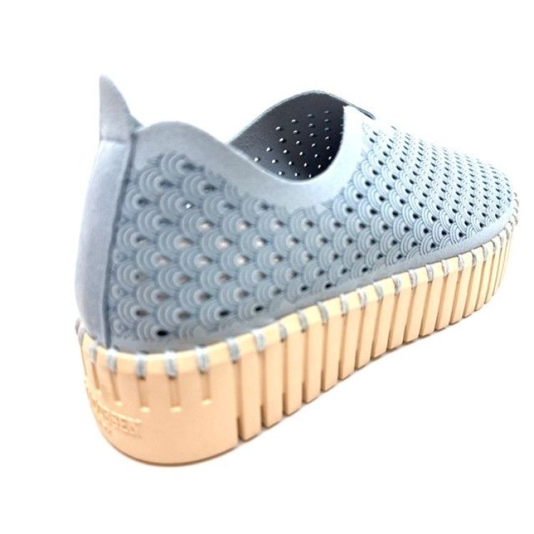  (tulip 3373W ash blue) - K De Lathauwer Schoenen (Aalst)