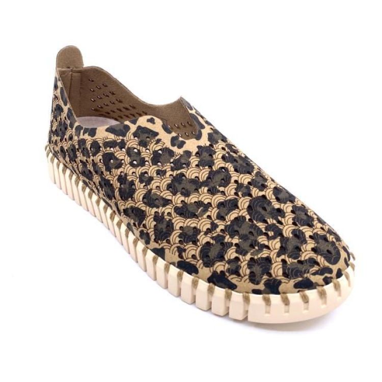  (tulip 3275 Leo) - K De Lathauwer Schoenen (Aalst)