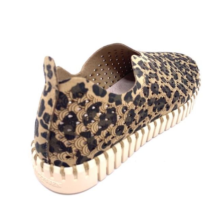  (tulip 3275 Leo) - K De Lathauwer Schoenen (Aalst)