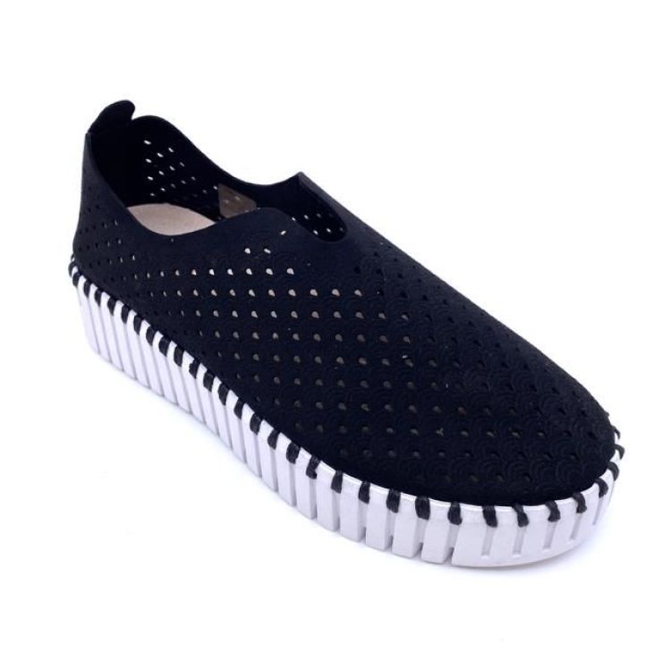  (tulip 3373W black) - K De Lathauwer Schoenen (Aalst)