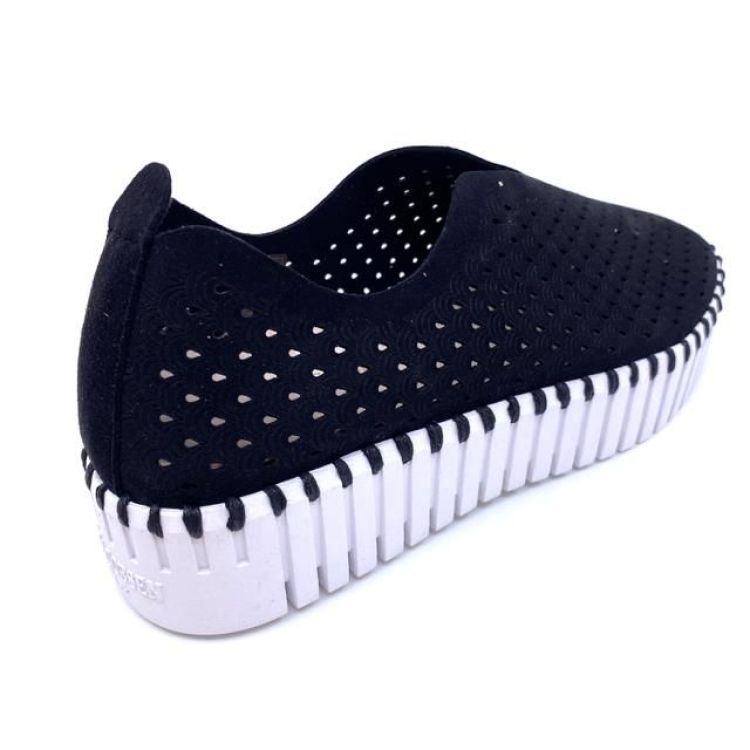  (tulip 3373W black) - K De Lathauwer Schoenen (Aalst)