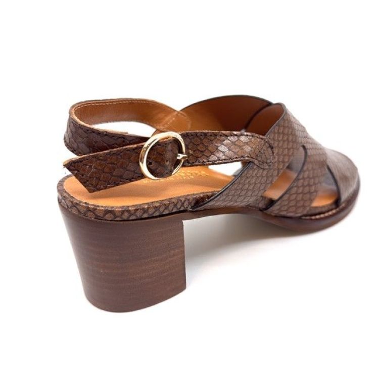  (1133 lizard cioco) - K De Lathauwer Schoenen (Aalst)