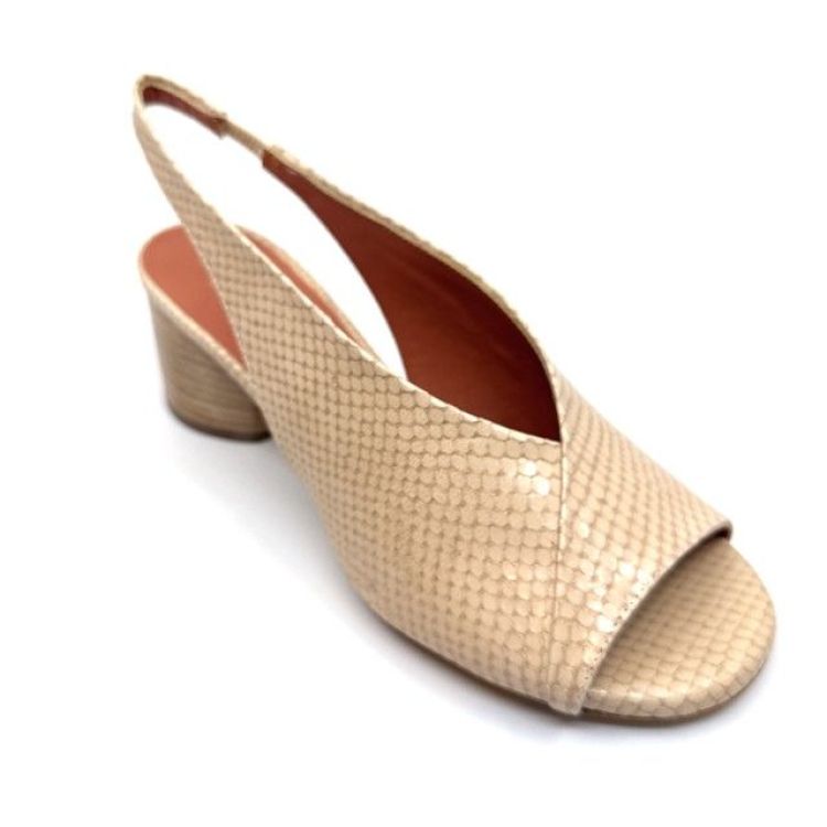  (D801CU lizard ecru) - K De Lathauwer Schoenen (Aalst)