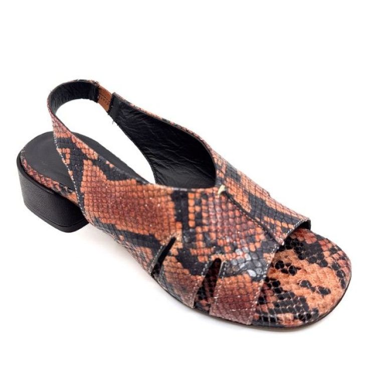  (8910 pitone blush) - K De Lathauwer Schoenen (Aalst)